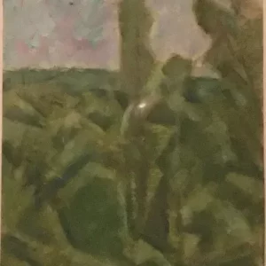 LA FORET VUE DE LA HAUTE FOLIE