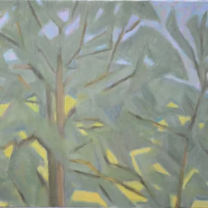 CHENES DEVANT LE BOIS DES BROSSES