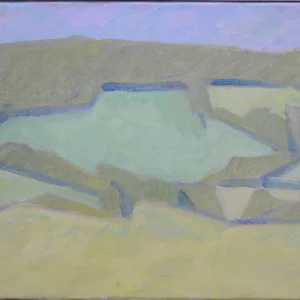 LA FORÊT DE BELLÊME VUE DE L’ HÔTEL AUX FRANCS