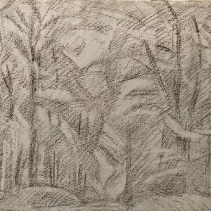 chemin dans la foret de belleme