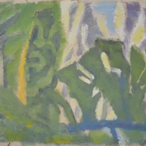 Grand arbre au  bord du lac