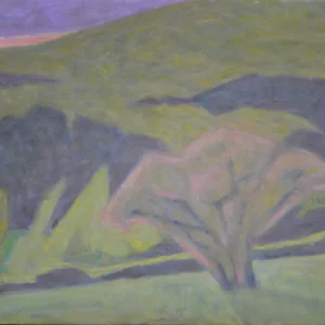 PIVOINES ARBUSTE ET FORET