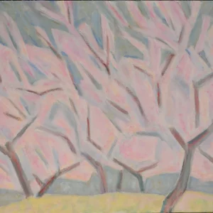 AMANDIERS EN FLEUR – Espagne