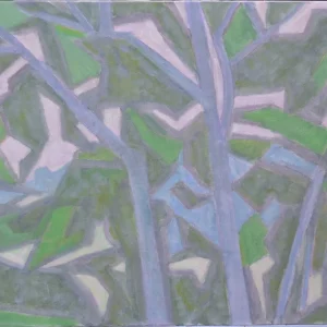 CHENES DEVANT LE BOIS DES BROSSES