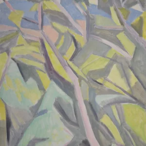 VUE DE LA HAUTE FOLIE, CERISIER ET BOIS DES BROSSES,