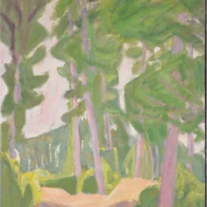 FUTAIE DE LE FORET DE BELLEME