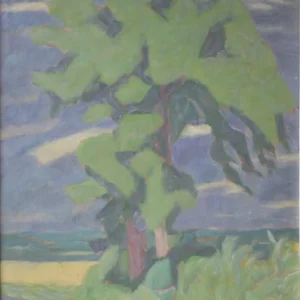 ARBRE SUR LA ROUTE DE SURE