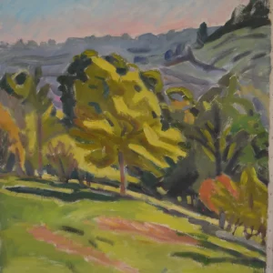 VUE DEPUIS LA HAUTE FOLIE,