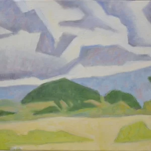 SAVANE – KENYA, 2014