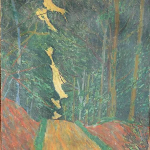 ROUTE DANS LA FORET DE BELLEME